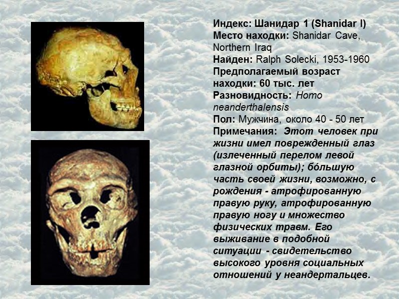 Индекс: Шанидар 1 (Shanidar I) Место находки: Shanidar Cave, Northern Iraq  Найден: Ralph